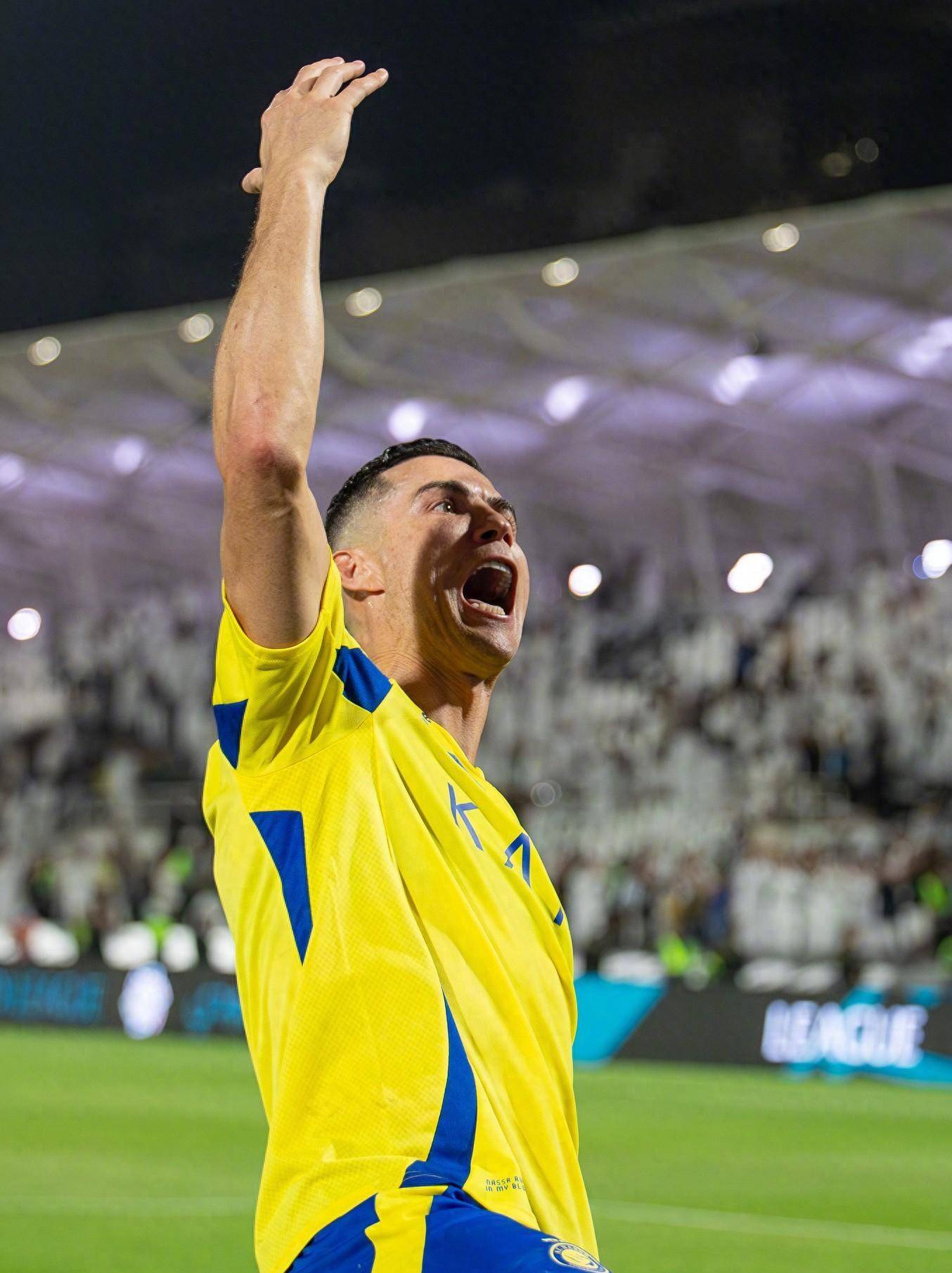 阅读能力 阅读能力